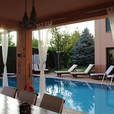 4-Seasons Pool Villa Near Meteora Trikala  Ngoại thất bức ảnh