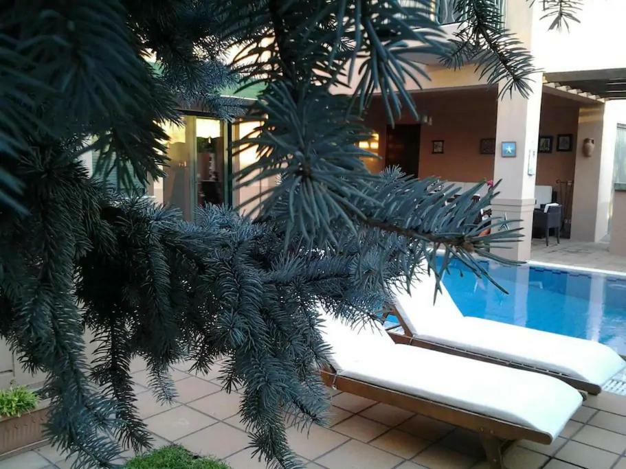 4-Seasons Pool Villa Near Meteora Trikala  Ngoại thất bức ảnh