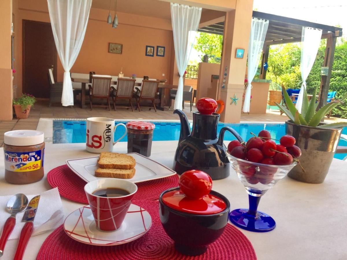 4-Seasons Pool Villa Near Meteora Trikala  Ngoại thất bức ảnh